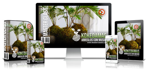 500kokedamas-arreglos-con-musgo