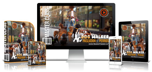 500dogwalkerpaseadordeperros
