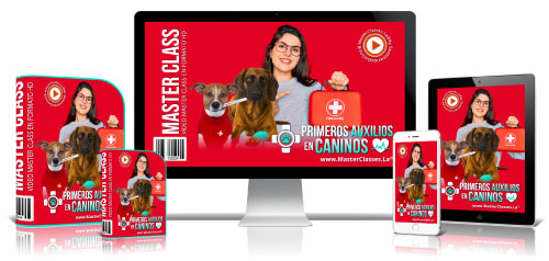 500primerosauxiliosencaninos